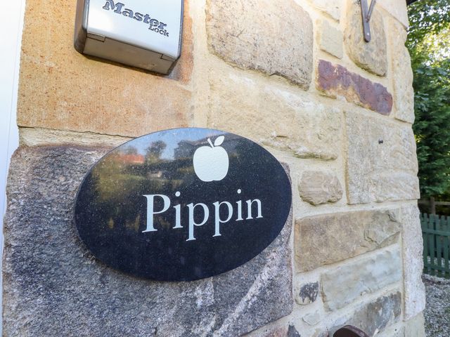 Pippin - 1121823 - photo 4