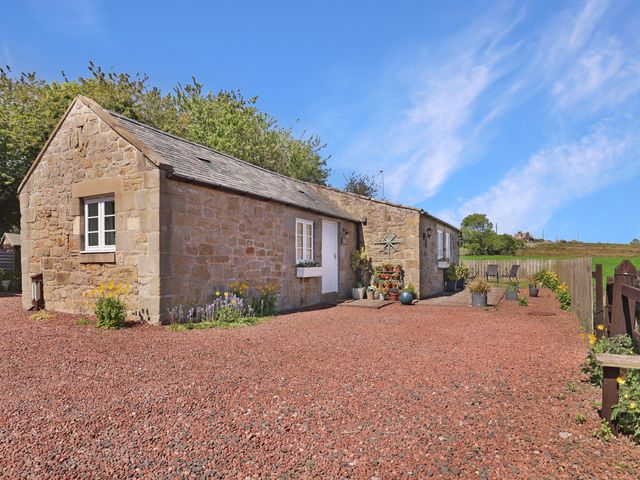 A cottage with a patio and plants at Plumtree Cottage in Alnmouth