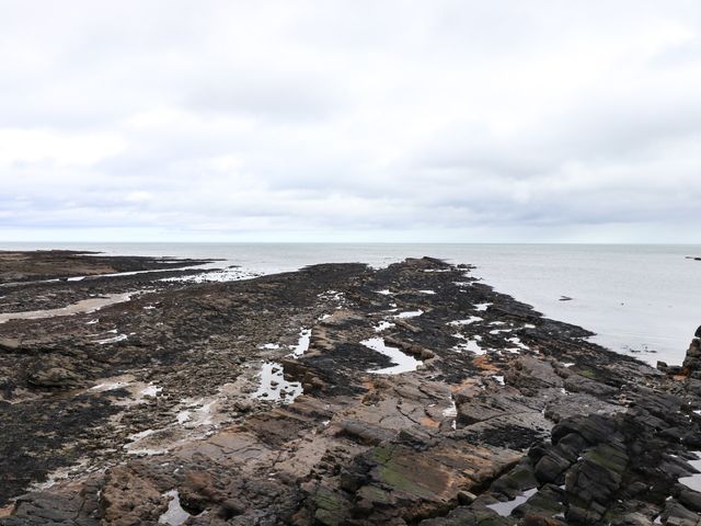 Barnacle Cove - 1122274 - photo 2