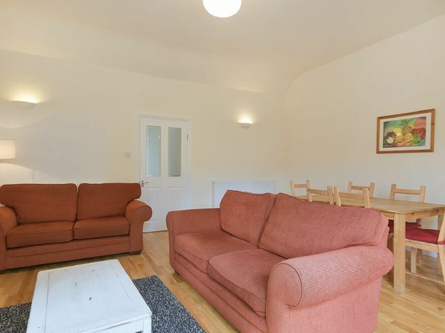 Decked Out - 1122288 - photo 3
