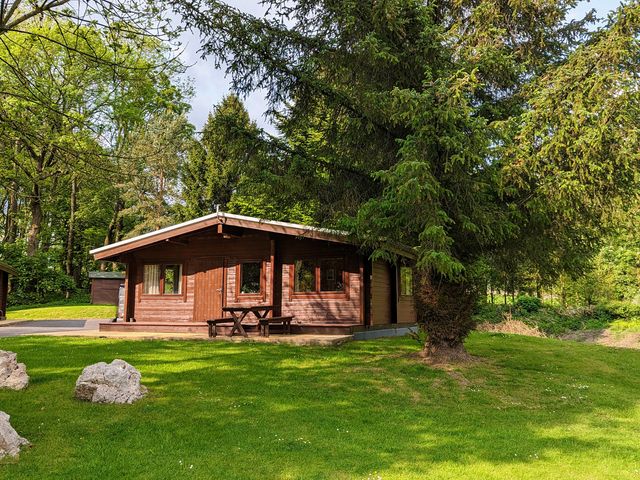 A wooden cabin with windows and a door on a grassy area with trees and rocks at Cedar Lodge in Ingleton