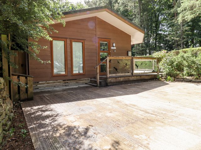 Washburn Lodge - 1123074 - photo 2