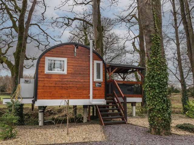 A small wooden cabin on stilts with a staircase and a covered porch surrounded by trees at Pine in Dungiven Londonderry