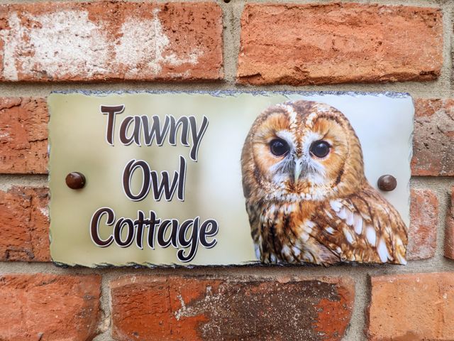 Tawny Owl Cottage - 1123977 - photo 2