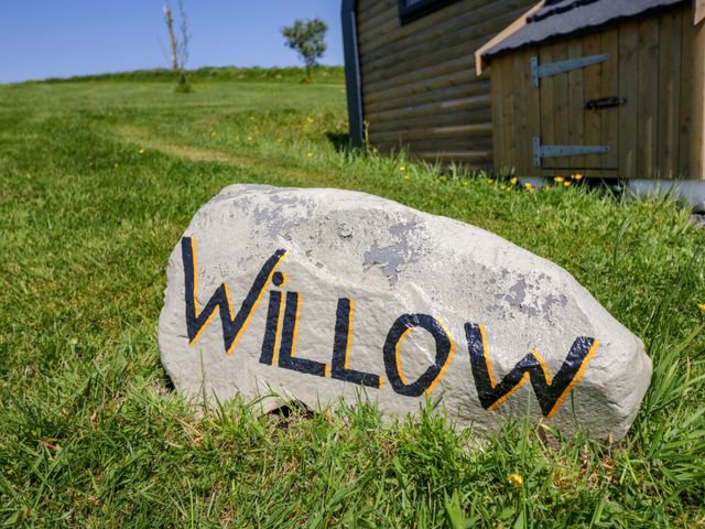 Willow - 1124058 - photo 3