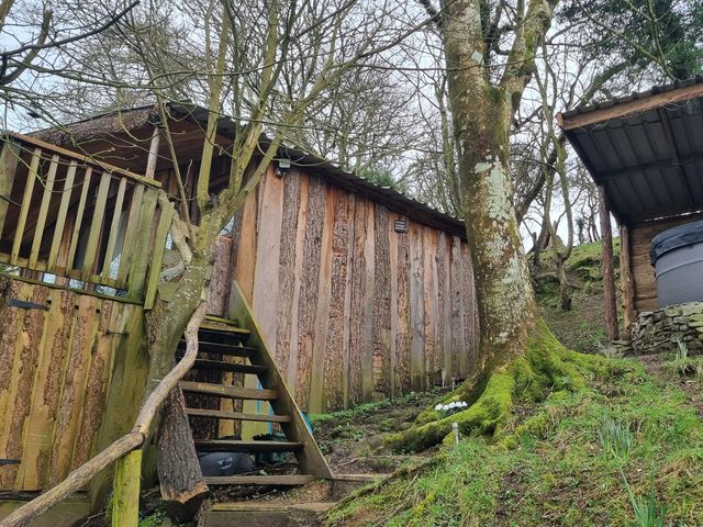 Tree House - 1125516 - photo 3