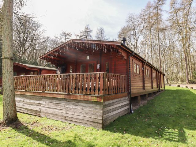 iLodge 73 - 1125673 - photo 3