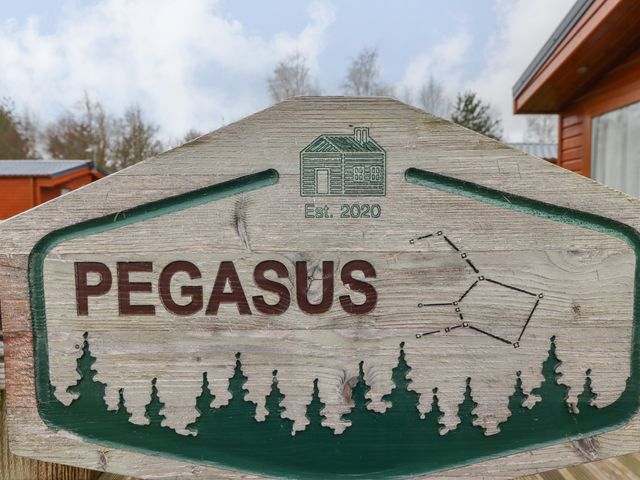 Pegasus - 1126125 - photo 3