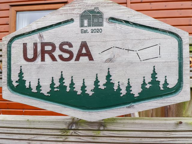 Ursa - 1126137 - photo 3