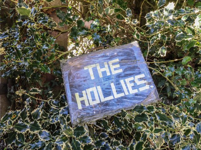 The Hollies - 1127123 - photo 3