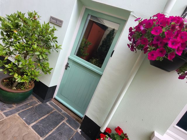 A green door with a sign that reads Apple Tree next to a potted plant and pink flowers hanging on the wall at Apple Tree Cottage in Appledore