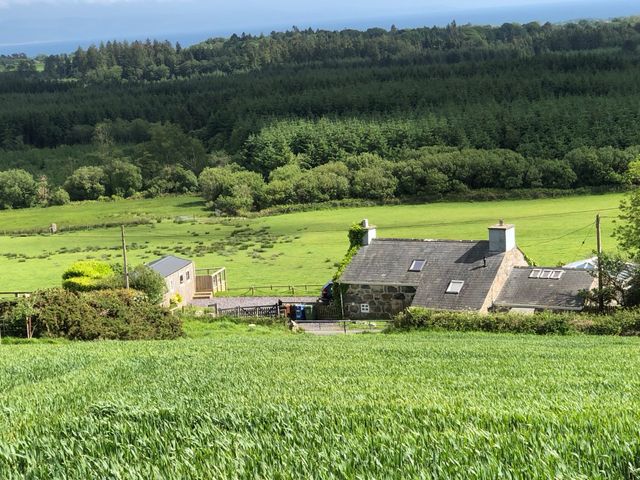 Caban Cwtch (The Cosy Cabin) - 1127604 - photo 3