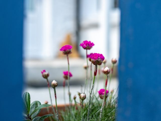 Seapinks - 1127717 - photo 4