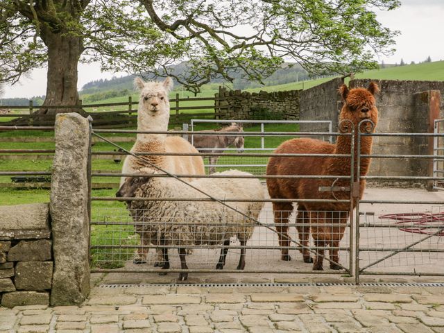 Bay Horse Farm - 1128124 - photo 2