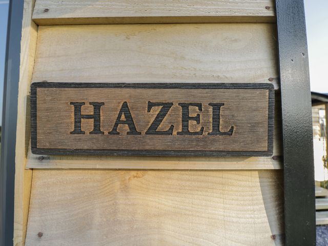 Hazel - 1128897 - photo 3