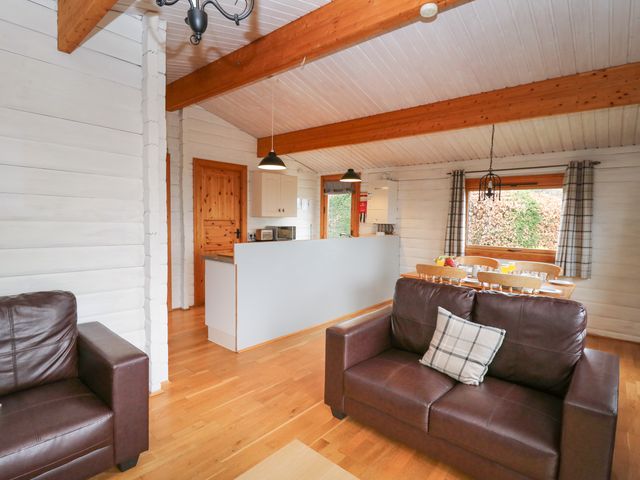 Great Owl Lodge - 1129255 - photo 5