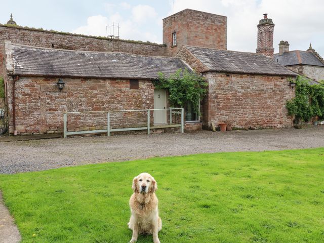 The Courtyard - 1129281 - photo 3