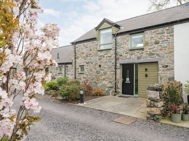 Stone house with black door green window frames and flowering tree in front at Gwalia Cottage in Brynsiencyn