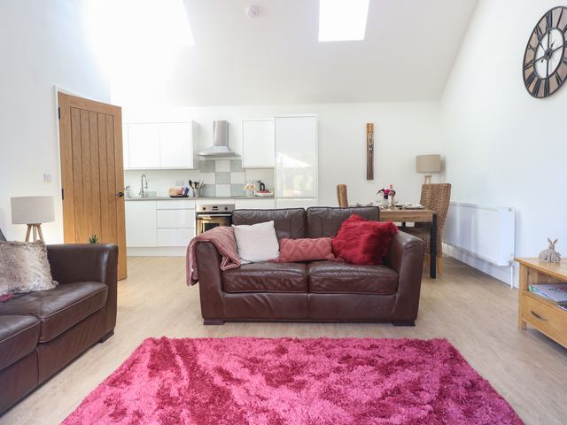 Beck View - 1130165 - photo 5