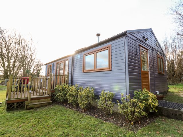 A small wooden cabin with a deck and bushes surrounding it at Y Caban Glas in Rhydlewis near Brynhoffnant