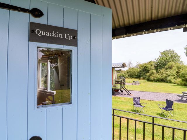 Quackin' Up - 1131007 - photo 3