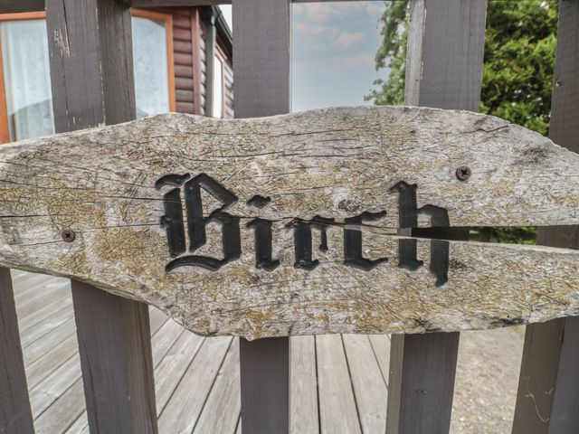 Birch - 1131385 - photo 3