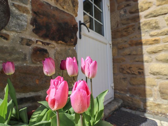 West Farm Cottage - 1131803 - photo 3