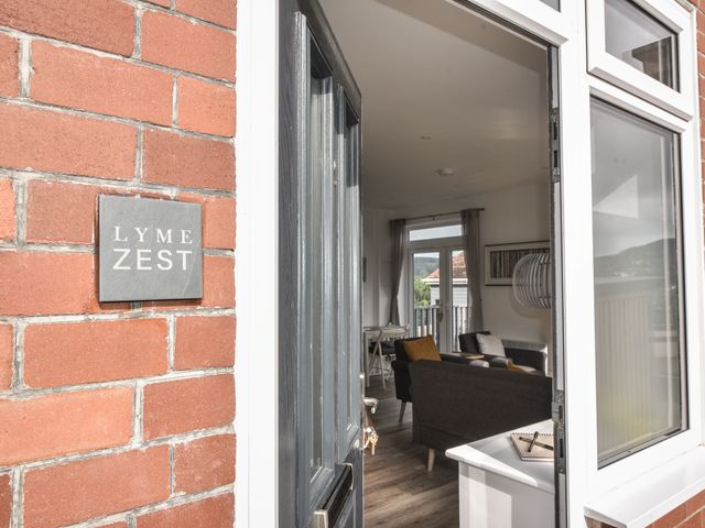 Lyme Zest - 1131990 - photo 4