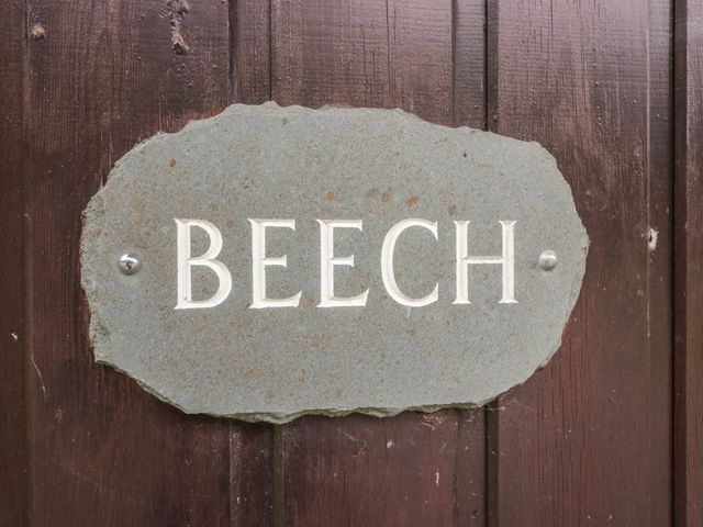 Beech Timber Lodge - 1132912 - photo 5