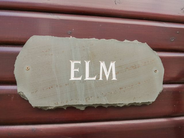 Elm Lodge - 1132913 - photo 5