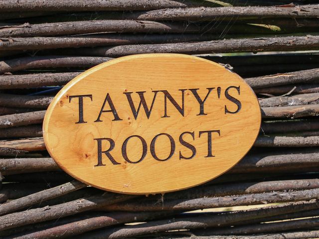 Tawny's Roost - 1133255 - photo 2