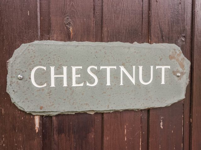 A sign with the word chestnut on a wooden surface at Chestnut Timber Lodge in Keswick