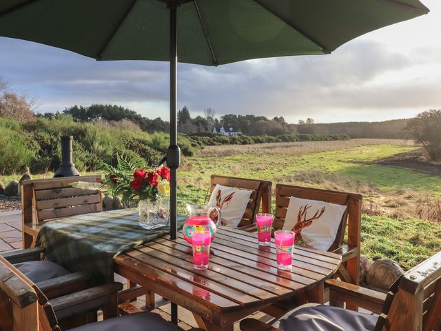 Red Squirrel - 1133684 - photo 1 