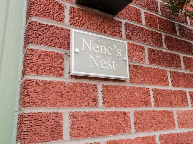 Nene's Nest - 1134005 - photo 1