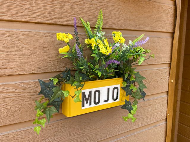 Mojo - 1134036 - photo 3