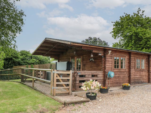 Pigsfoot Lodge - 1134505 - photo 4