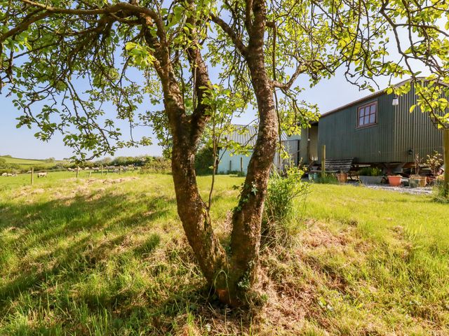 Puddle Duck Shepherds Hut - 1134710 - photo 3