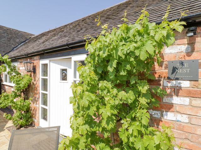The Nest - 1135842 - photo 2