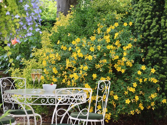 Spindlewood Cottage - 1136422 - photo 5