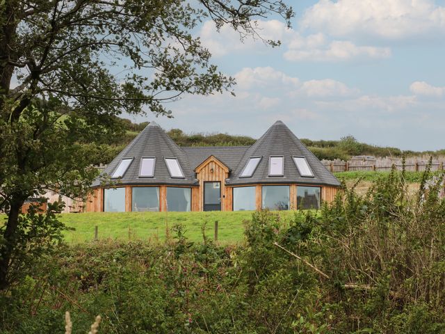 A house with a unique roof design in a field at Ty Crwn in Lampeter