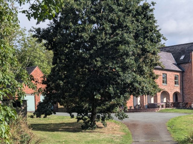 A house with a large tree and outbuilding at Gaer Hall Guilsfield