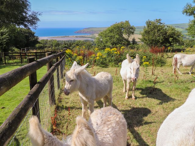 Penfeidr Newydd - 1136954 - photo 3