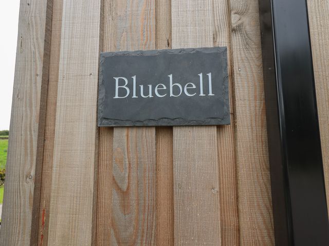 Bluebell Cabin - 1137285 - photo 3