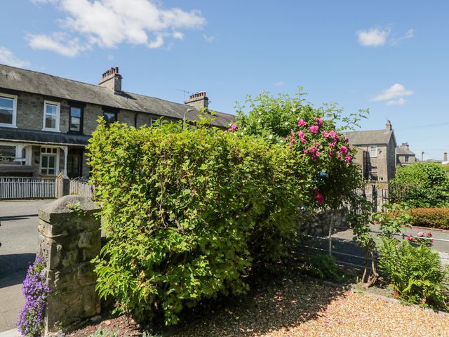 Robin's Retreat - 1138194 - photo 3