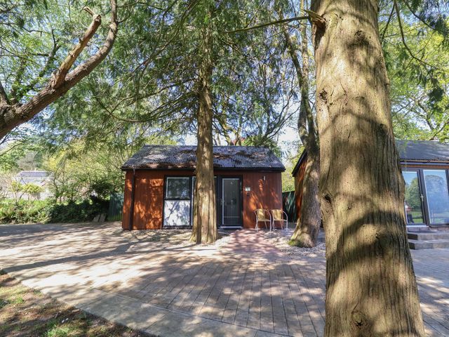 A house surrounded by trees with a pathway and chairs at Fern in Bydown near Barnstaple