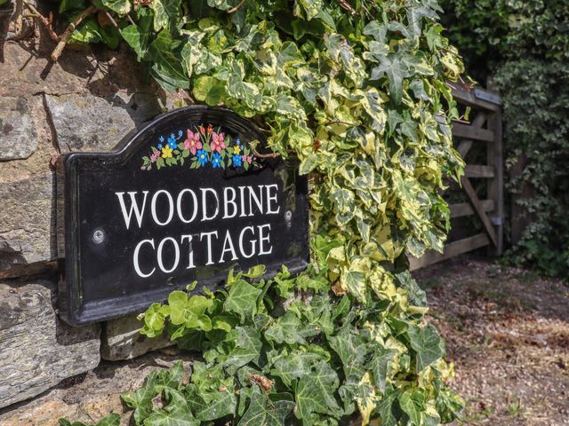 Woodbine Cottage - 1140598 - photo 3