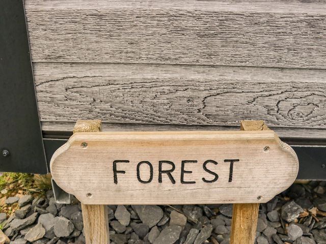 Forest - 1141271 - photo 4