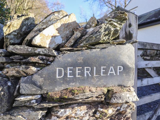 Deer Leap - 1143195 - photo 3