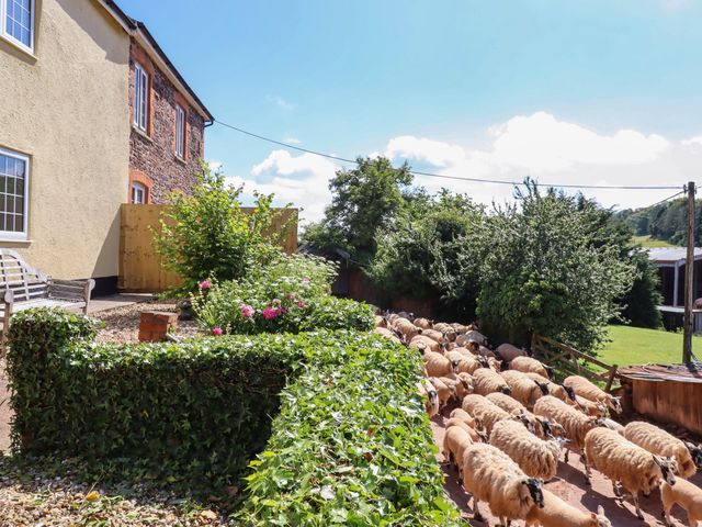 Twyford Farm Cottage - 1143593 - photo 3