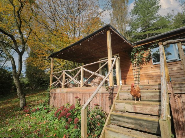 Pear Tree Lodge - 1144769 - photo 2